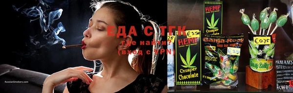 гашик Бородино