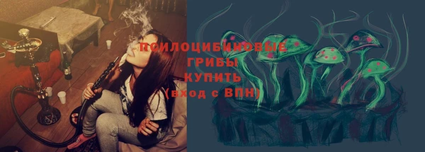 МДПВ Верея