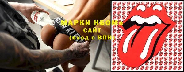 гашик Бородино